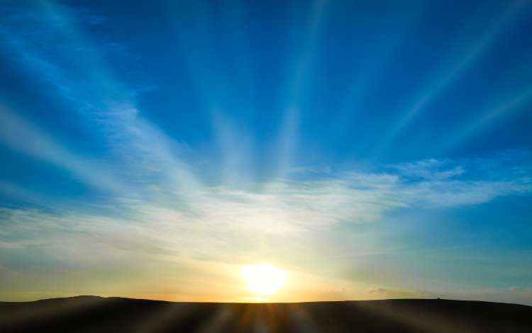 Humanity Must Act Now