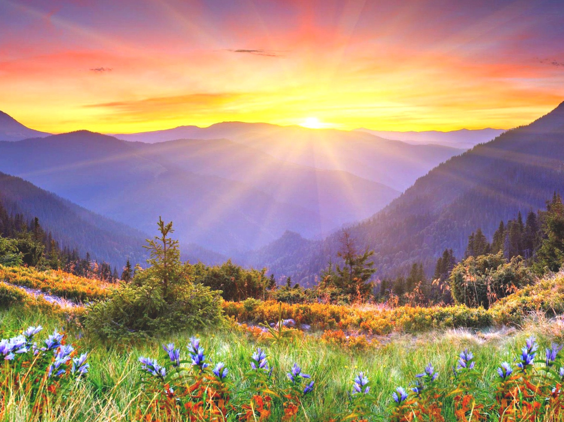 Shri ShantiMayi – What the Guru Represents